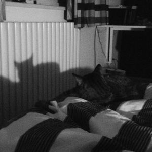 Meet your Posher, Johnny